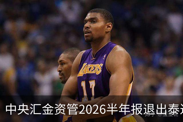 中央汇金资管2026半年报退出泰达股份前十大股东名单