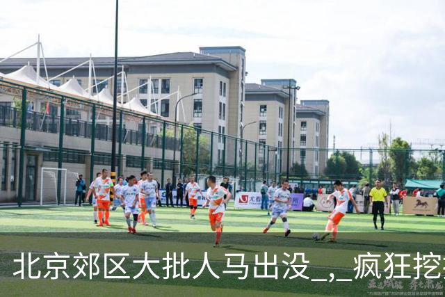 北京郊区大批人马出没 , 疯狂挖掘神秘“黑疙瘩” , 因滥采已岌岌可危