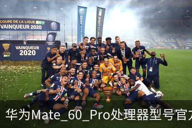 华为Mate 60 Pro处理器型号官方首次“揭秘”，搭载麒麟9000S与30、40、50、90“同台竞技”