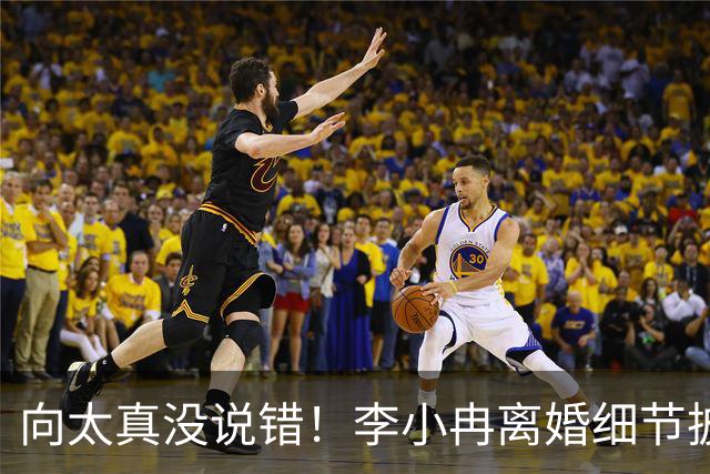 向太真没说错！李小冉离婚细节披露，跟前夫被执行2111万没有关系