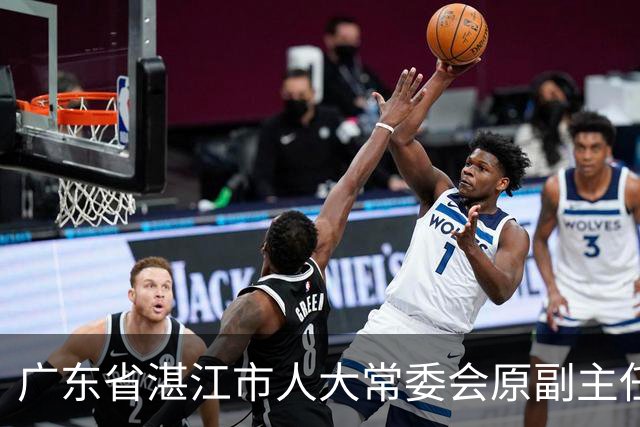 广东省湛江市人大常委会原副主任陈云被开除党籍