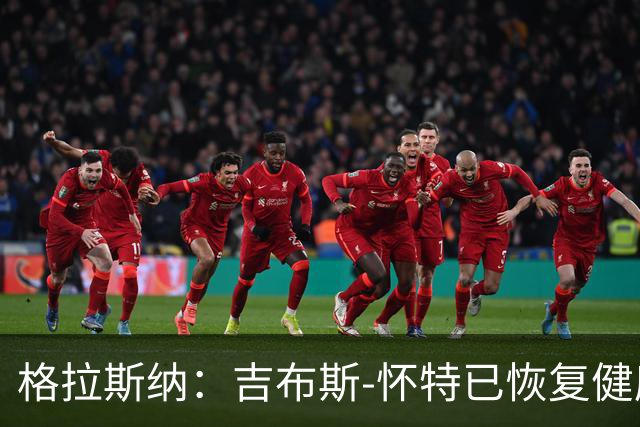 格拉斯纳：吉布斯-怀特已恢复健康，米伦科维奇也能首发