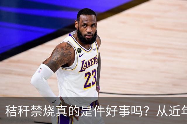 秸秆禁烧真的是件好事吗？从近年蚯蚓鸟类和蛇类数量就能看出来