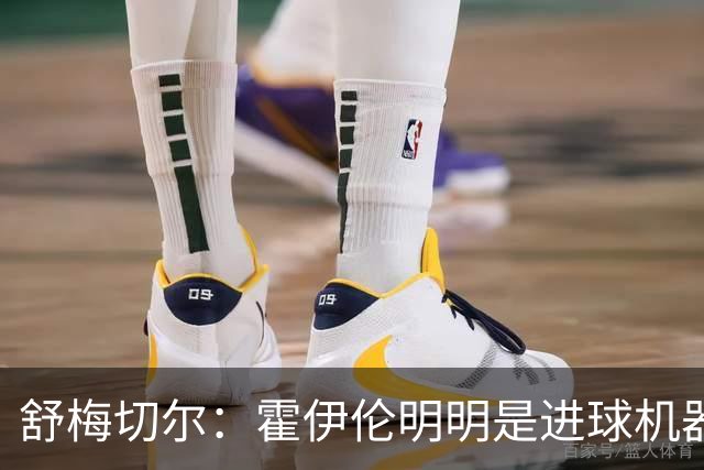 舒梅切尔：霍伊伦明明是进球机器，维韦尔来了偏要换成谢什科