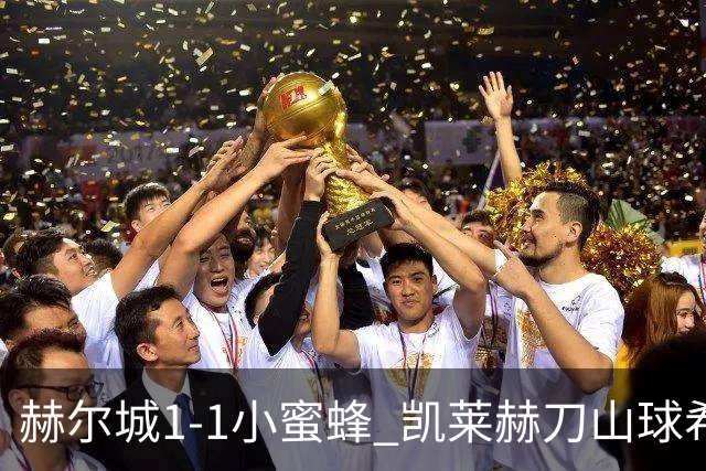 赫尔城1-1小蜜蜂 凯莱赫刀山球希基送点 麦克伯尼点射瓦塔拉扳平